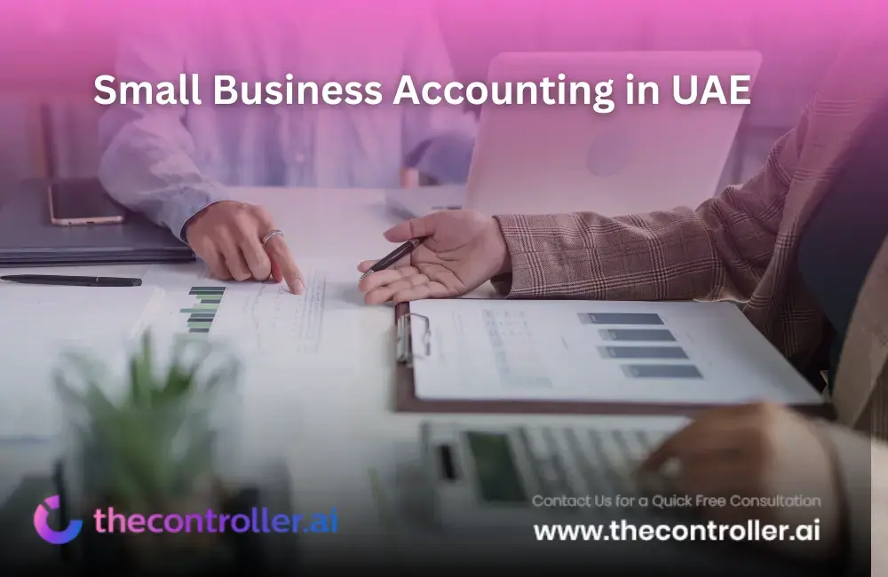 Small Business Accounting in UAE ( Guide for SMEs & Startups)
